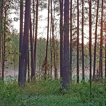 Hotel Urpolan Kartano Ky